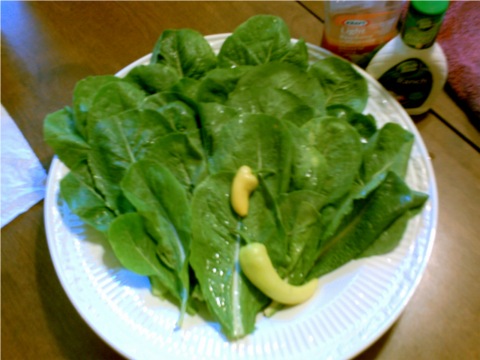 lettuce-from-our-garden1