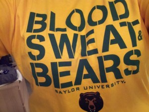 blood sweat and bears